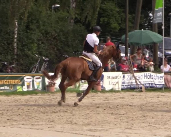 Großes Reit- und Springturnier Herbern 2014