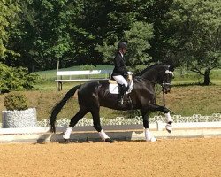 Cavallo da Dressage Le Noir 45 (Württemberger, 2013, di Little Charly)
