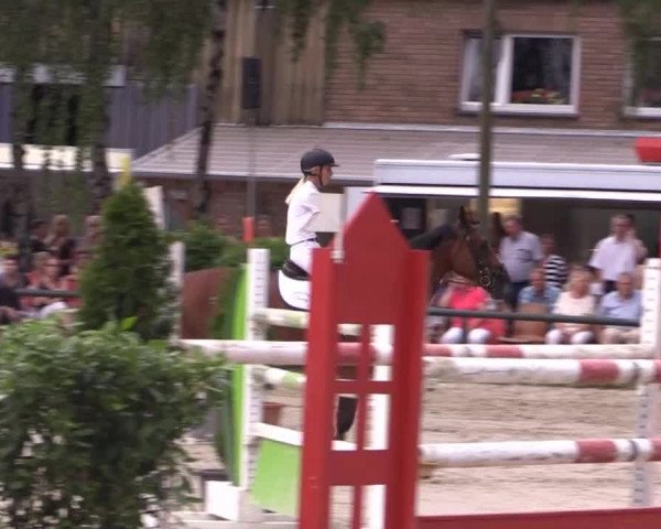Großes Reit- und Springturnier Herbern 2014