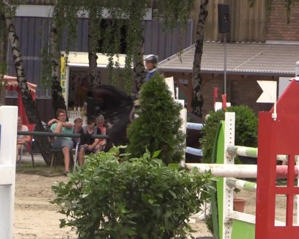 Großes Reit- und Springturnier Herbern 2014