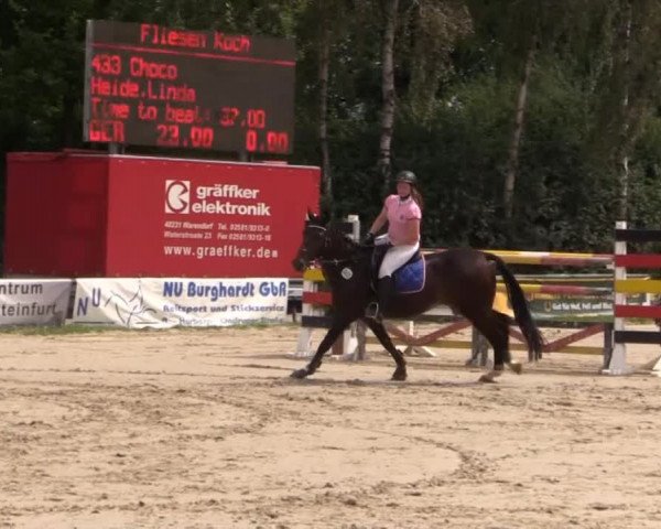 Großes Reit- und Springturnier Herbern 2014
