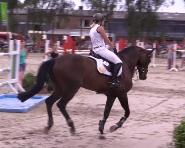 Großes Reit- und Springturnier Herbern 2014