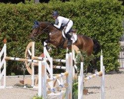jumper Siegfried H (Hanoverian, 2014, from Stolzenberg)