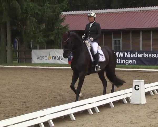 10. Bettenröder Dressurtage 2014