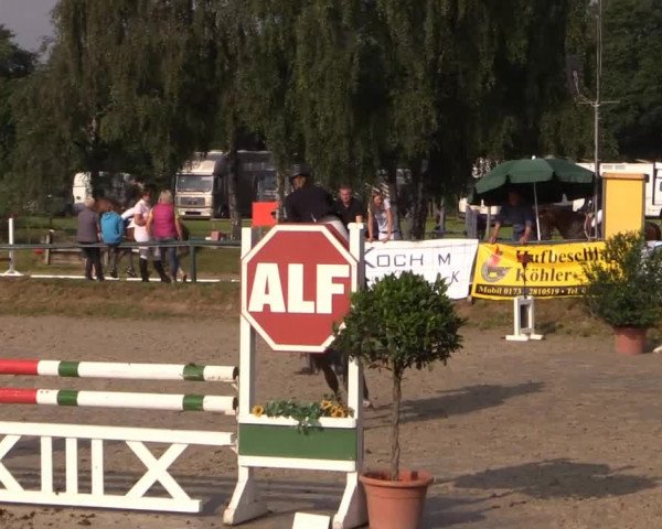 Großes Reit- und Springturnier Herbern 2014
