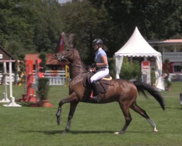 Reitturnier Münster-Handorf 2014