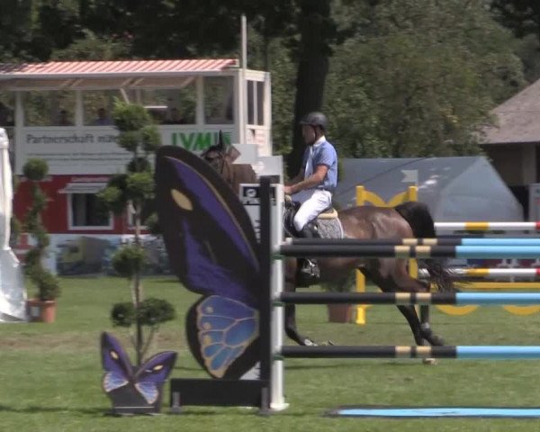 Reitturnier Münster-Handorf 2014