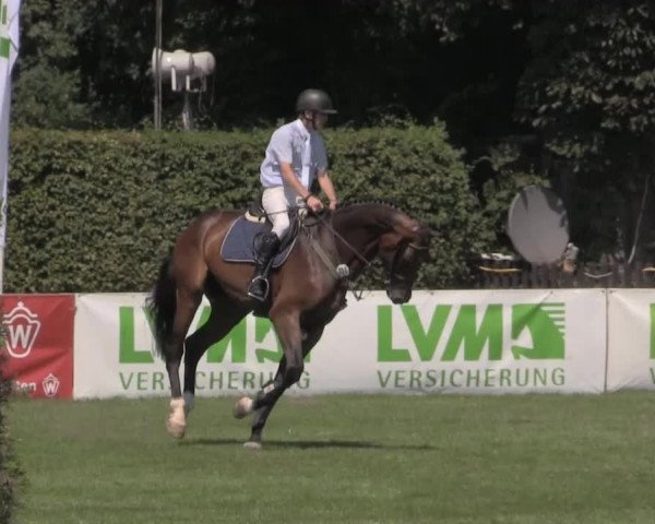 Westfalen-Woche 2014