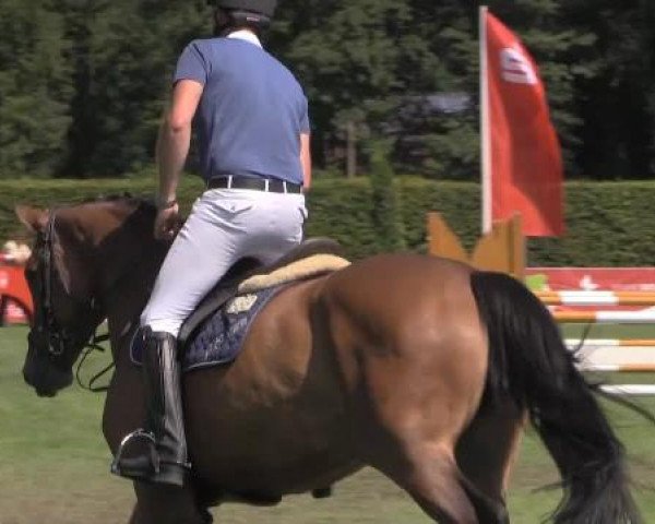 Reitturnier Münster-Handorf 2014