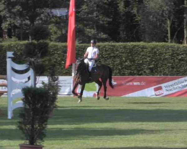 Reitturnier Münster-Handorf 2014