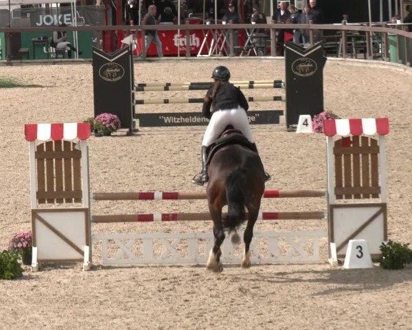 Reitturnier Leichlingen-Witzhelden 2025