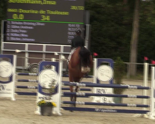 Reitturnier Appelhülsen 2025