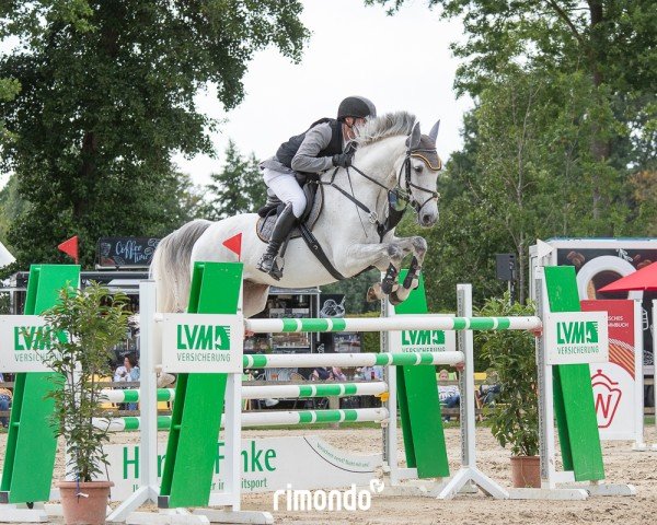 Jumper Clintino 6 (Hanoverian, 2010, from Clinton I)