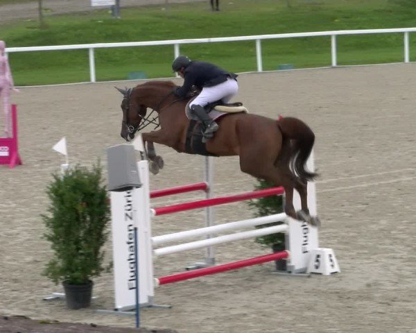 Reitturnier Bülach 2025