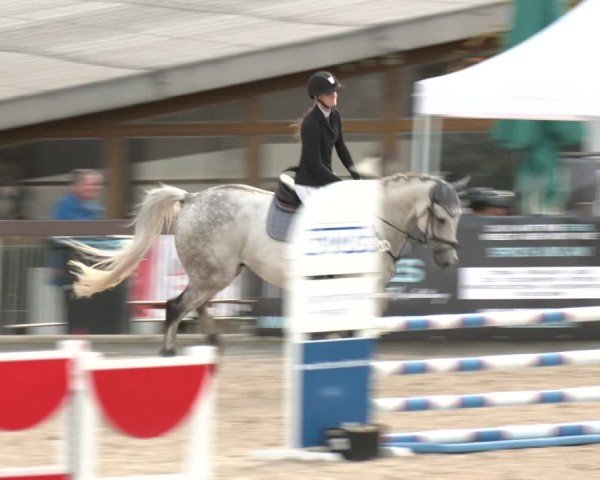 Reitturnier Leichlingen-Witzhelden 2025