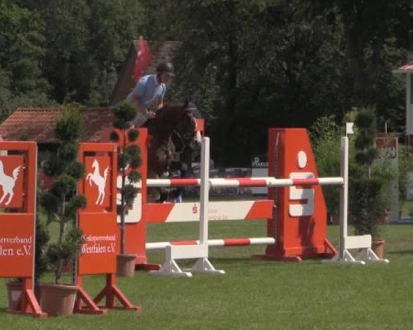Westfalen-Woche 2014