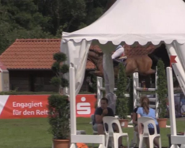 Westfalen-Woche 2014