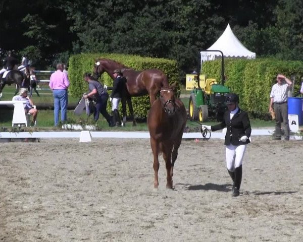 Westfalen-Woche 2014