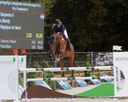jumper Baylando (Belgian Warmblood, 2005, from Thunder van de Zuuthoeve)