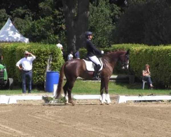 Westfalen-Woche 2014