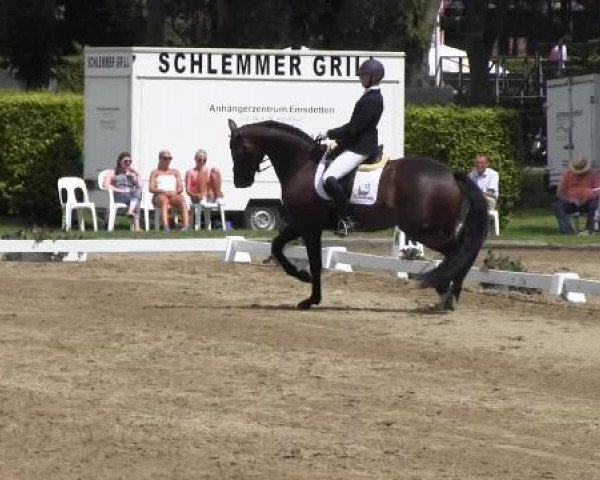 Westfalen-Woche 2014