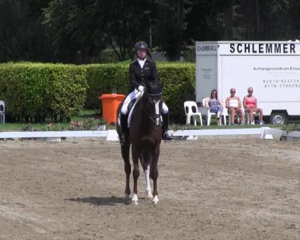 Westfalen-Woche 2014