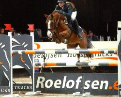 jumper Bosvallei's Tiego (Nederlands Welsh Ridepony, 2004, from Kielshoop Honeymill)