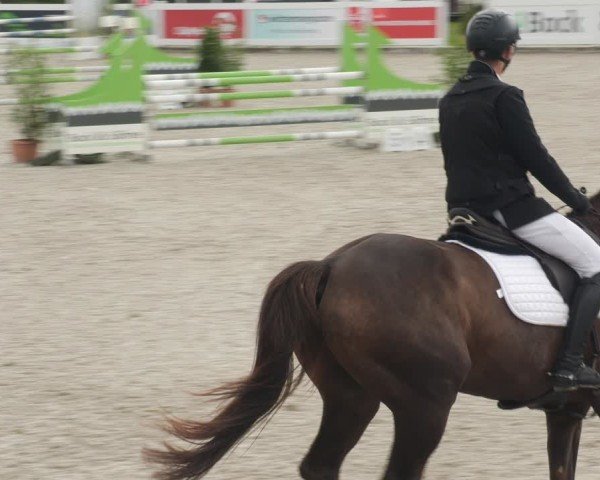 Reitturnier Babenhausen/Schw. 2025