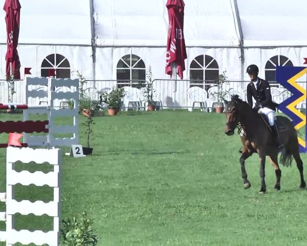 54. Süddeutsche Championate - Scharlachrennen
