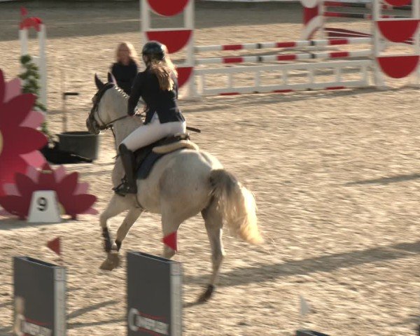 Equestrian Show Leichlingen-Witzhelden 2025