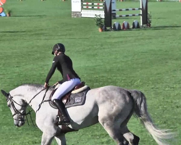 54. Süddeutsche Championate - Scharlachrennen