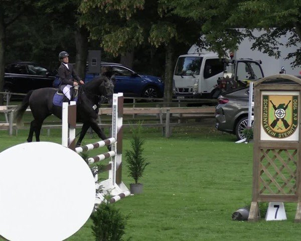 Reitturnier Kemnitz/Salzwedel 2025