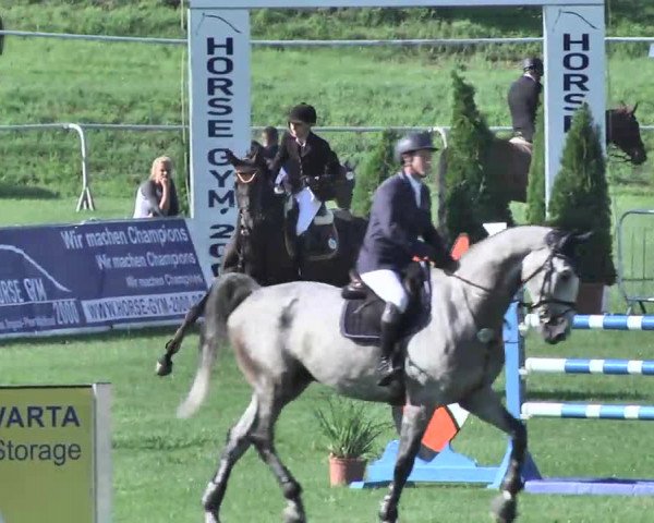 54. Süddeutsche Championate - Scharlachrennen