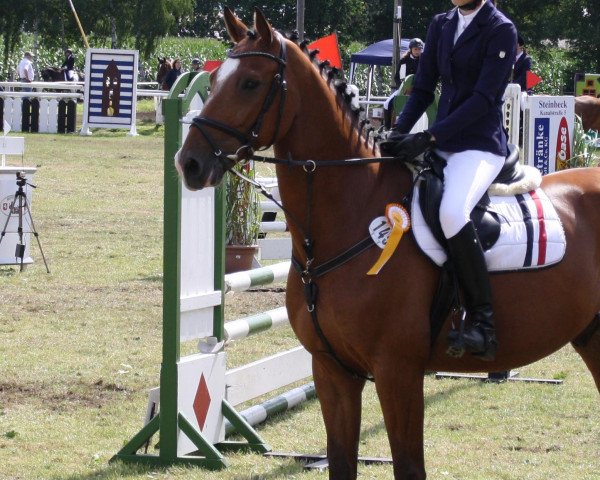 jumper Capitano 81 (Oldenburg, 2008, from Casiro I)