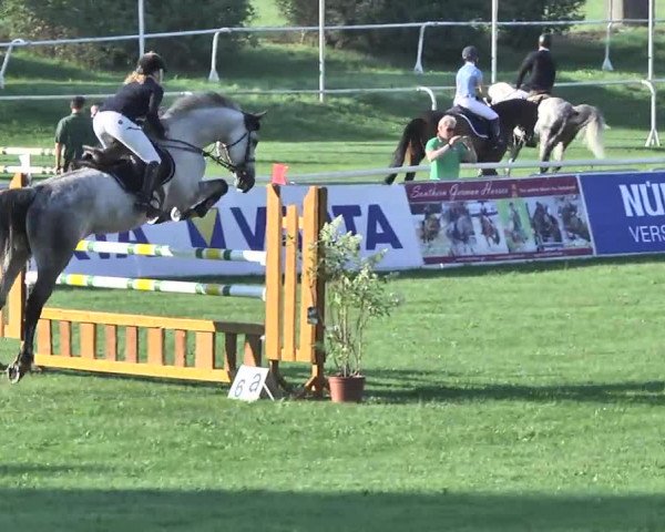 54. Süddeutsche Championate - Scharlachrennen