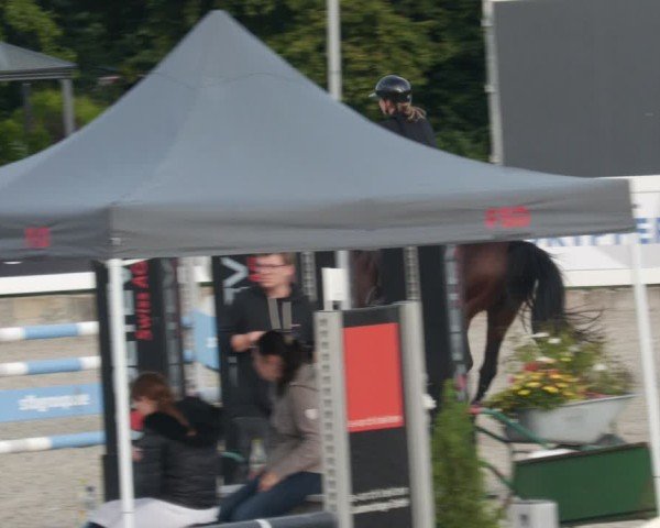 Reitturnier Babenhausen/Schw. 2025