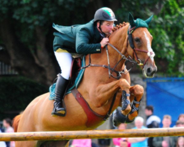 broodmare Irish Independent Echo Beach (Irish Sport Horse, 1997, from Clover Echo)