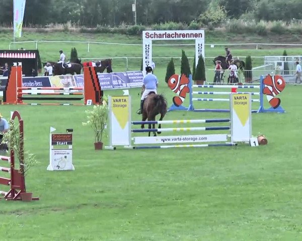 54. Süddeutsche Championate - Scharlachrennen