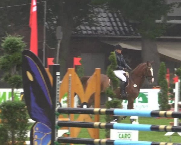 Reitturnier Münster-Handorf 2014