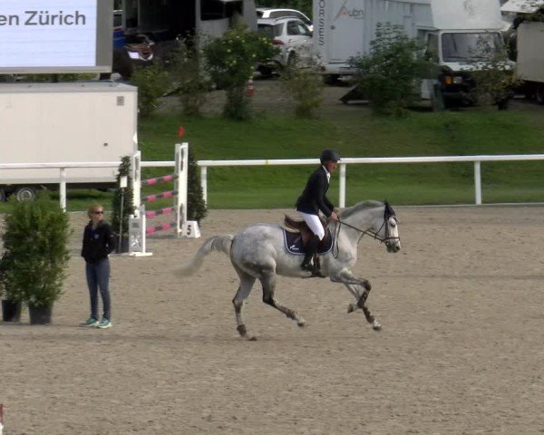 Reitturnier Bülach 2025