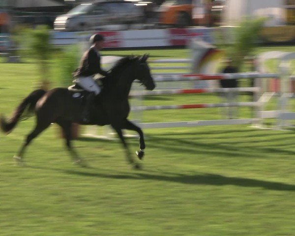 Reitturnier Mühlengeez 2025