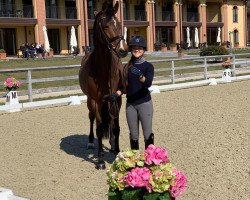 dressage horse Di Callas (Westphalian, 2009, from Diamond Hit)