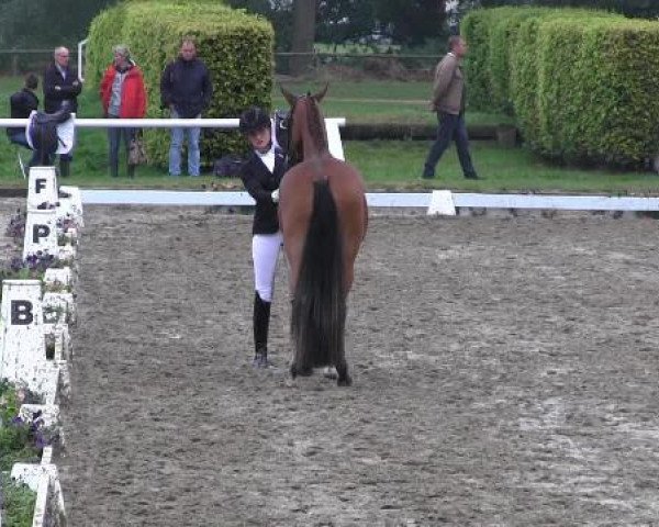 Westfalen-Woche 2014