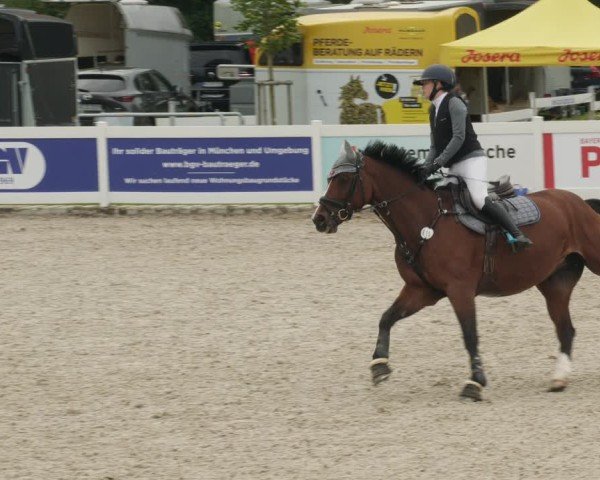 Reitturnier Babenhausen/Schw. 2025