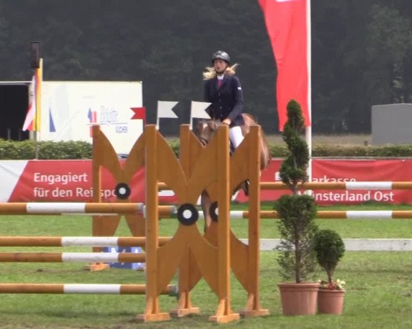 Westfalen-Woche 2014