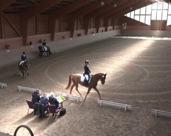 Reitturnier Dortmund-Barop 2025