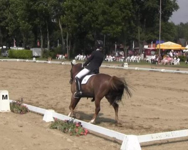 Westfalen-Woche 2014