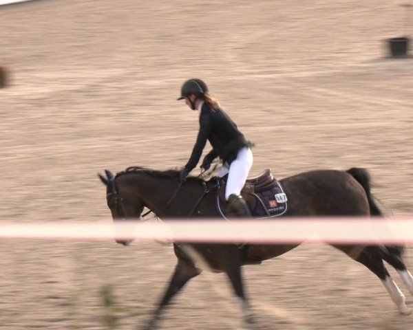 Reitturnier Leichlingen-Witzhelden 2025