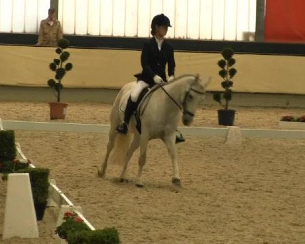 Reitturnier Münster-Handorf 2014