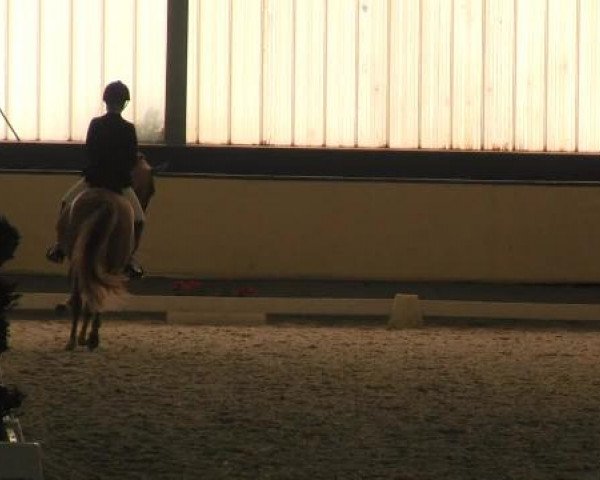 Westfalen-Woche 2014